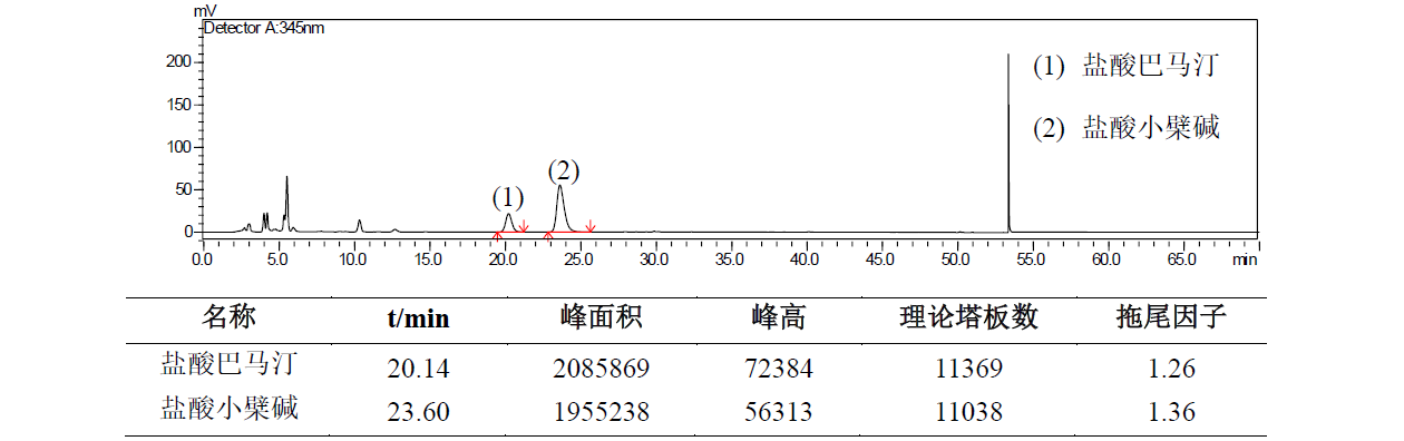 关黄柏