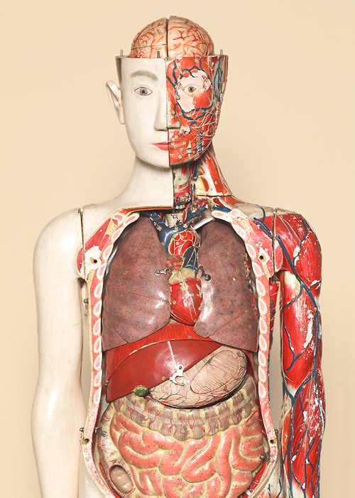 人戴着面具低可信度描述已自动生成