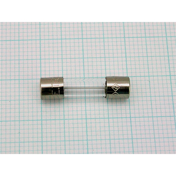 保险丝FUSE,218 06.3P，用于CTO-30A柱温箱