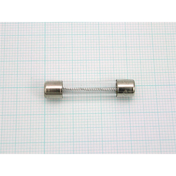 保险丝FUSE,313 005，用于GCMS QP5050／QP5000