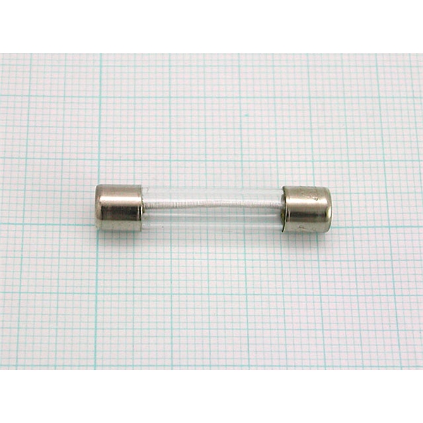 保险丝FUSE,313.500P，用于GCMS QP5050／QP5000