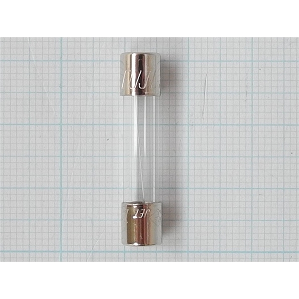 保险丝FUSE,FGBO 125V 5A，用于ICPS-8100
