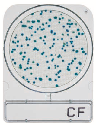 微生物快速测试片—大肠菌群，CompactDry CF 1400pc