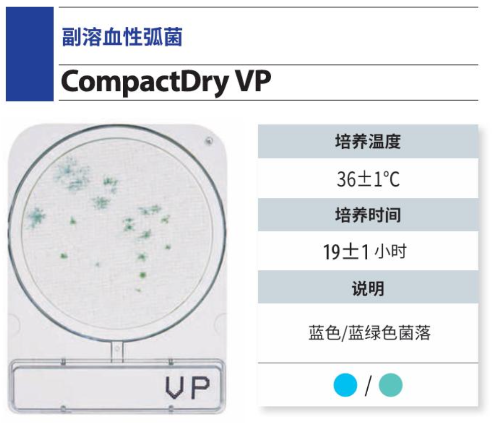微生物快速测试片—副溶血性弧菌，CompactDry VP 240pc